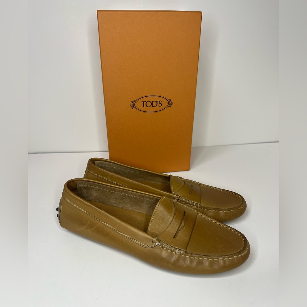 Tod’s Woman Loafer